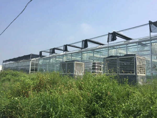 浙江烟草温室种植大棚恒温恒湿